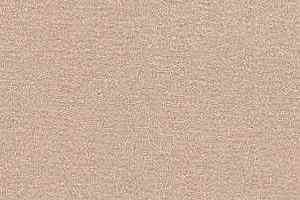 Ковролин Radici Nexus Lino 2417 фото  | FLOORDEALER